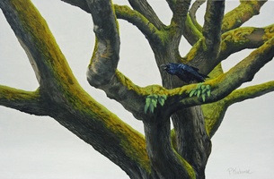 Raven Tree   - SOLD