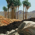 Palm Desert.jpg