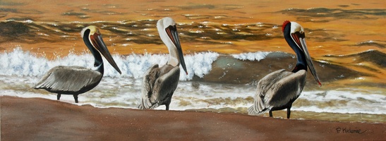 Three Pelicans     SOLD